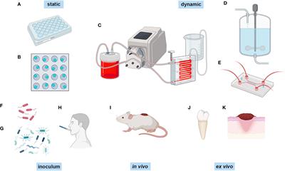 How to study biofilms: technological advancements in clinical biofilm research